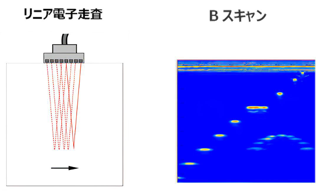 リニア電子走査のビームイメージとBスキャン画像イメージ